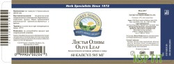 listya-olivy-4-nsp-rus-min