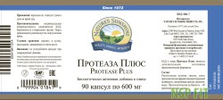 proteaza-plyus-4-nsp-rus-min
